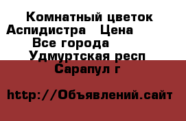 Комнатный цветок Аспидистра › Цена ­ 150 - Все города  »    . Удмуртская респ.,Сарапул г.